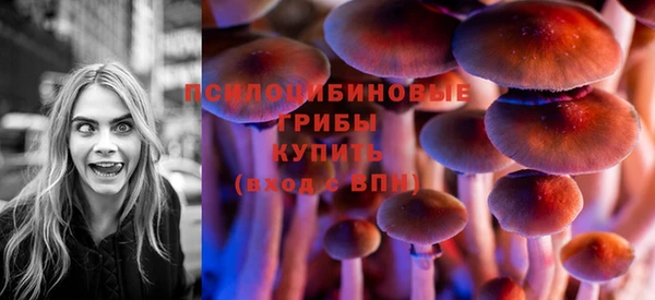 спиды Абинск
