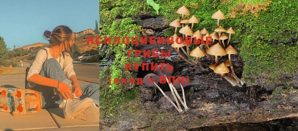 спиды Абинск