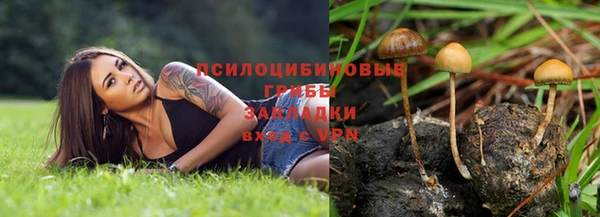 скорость Абаза
