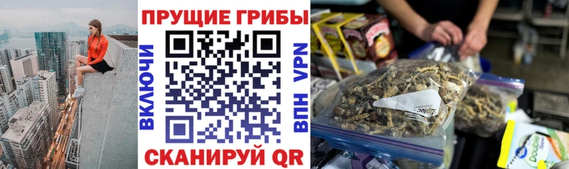 Псилоцибиновые грибы ЛСД  МЕГА   Владикавказ  наркота 